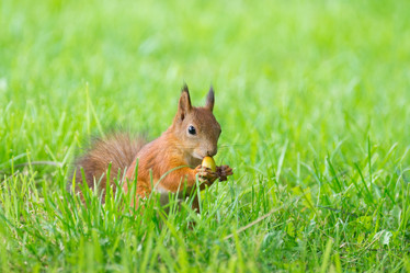 Similar image 11879950