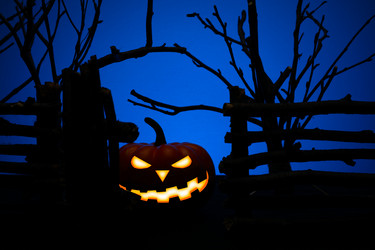 Similar image 11871293