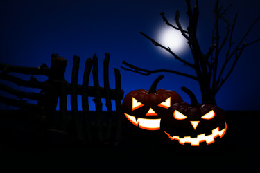 Similar image 11871294