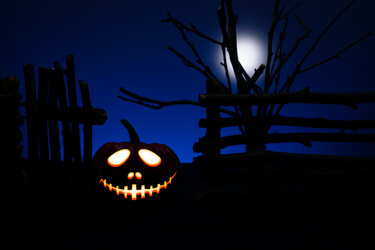 Similar image 11871295