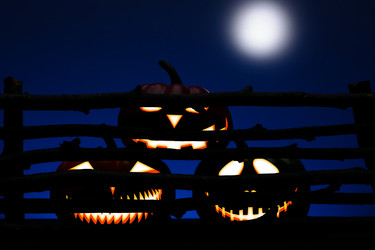 Similar image 11871297