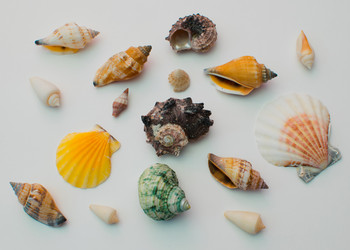 Similar image 11862448