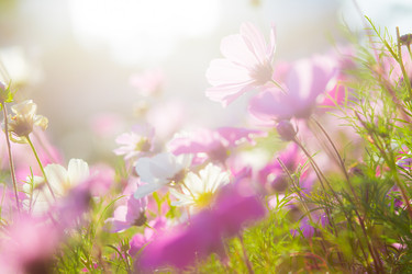 Similar image 11853678