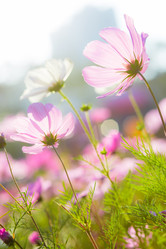 Similar image 11853679