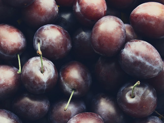 Similar image 11880198