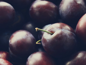 Similar image 11880200