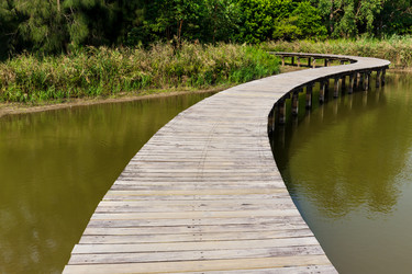 Similar image 11853234