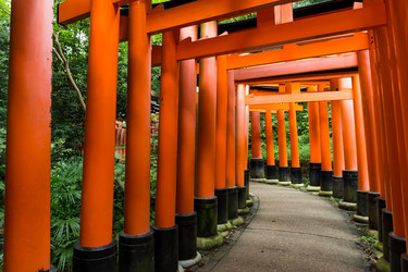 Similar image 11853274