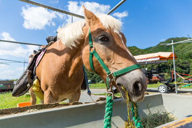 Similar image 11853333