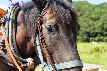 Similar image 11853334