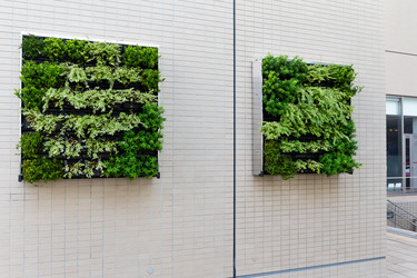 Similar image 11853355