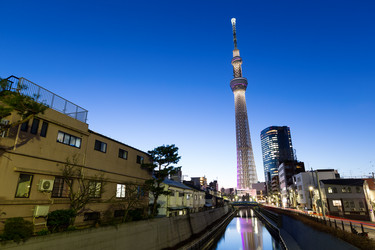 Similar image 11853660