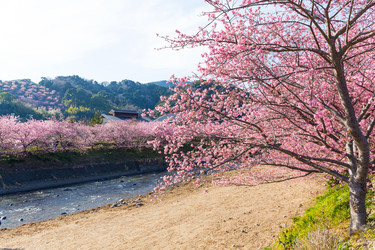 Similar image 11853734