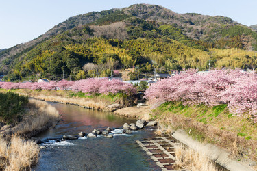 Similar image 11853754