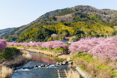 Similar image 11853755