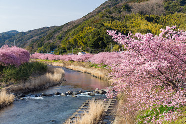 Similar image 11853775