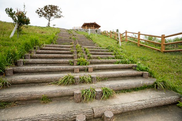 Similar image 11853835