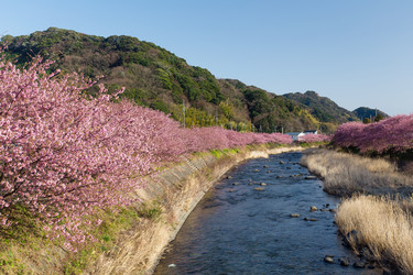 Similar image 11853298