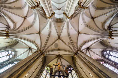 Similar image 11858641