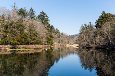 Similar image 11853177