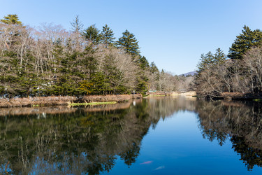 Similar image 11853196