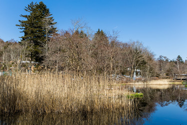 Similar image 11853198