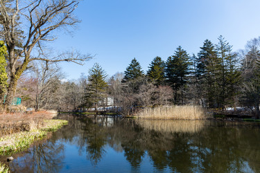 Similar image 11853217