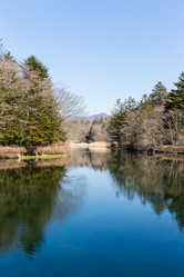 Similar image 11853218