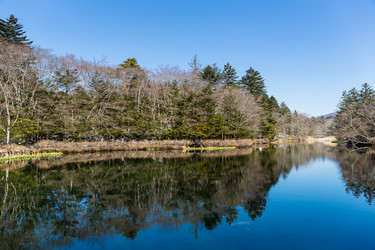 Similar image 11853339