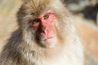 Similar image 11853397