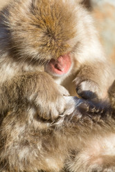 Similar image 11853415