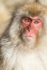 Similar image 11853416