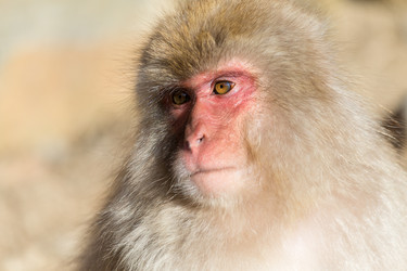 Similar image 11853433