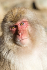 Similar image 11853434