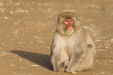 Similar image 11853436