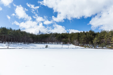 Similar image 11853453