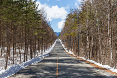 Similar image 11853456