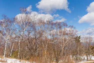 Similar image 11853477