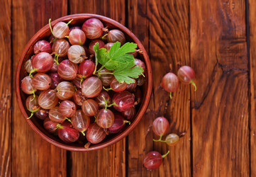 Similar image 11849063