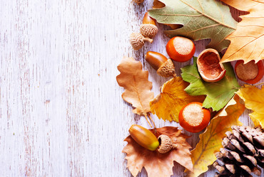 Similar image 11849133