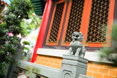 Similar image 11853711