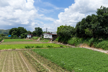 Similar image 11853744