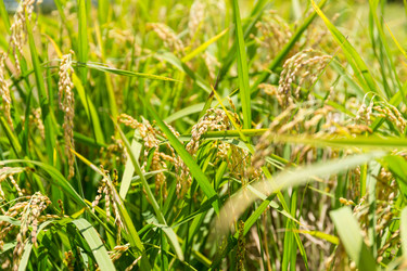 Similar image 11853765