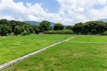 Similar image 11853784