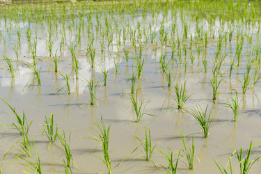 Similar image 11853825