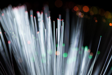 Similar image 11853922