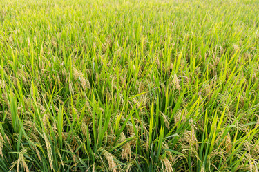 Similar image 11853923