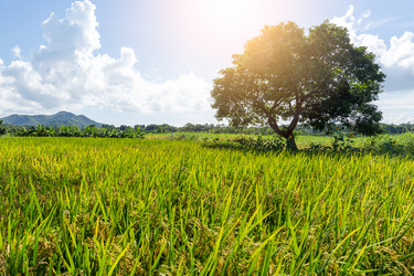 Similar image 11853061