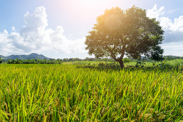 Similar image 11853063