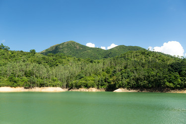 Similar image 11853139